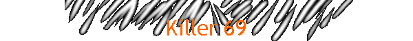 Killer 69